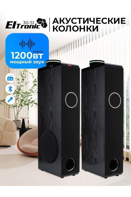 Акустическая система ELTRONIC 08 (30-51) HOME SOUND (черный) 