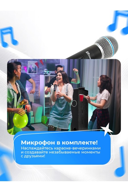 Акустическая система ELTRONIC 08 (30-51) HOME SOUND (черный) 1