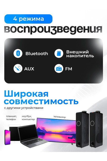 Акустическая система ELTRONIC 08 (30-51) HOME SOUND (черный) 2