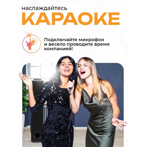 Акустическая система ELTRONIC 08 (30-51) HOME SOUND (черный) 3