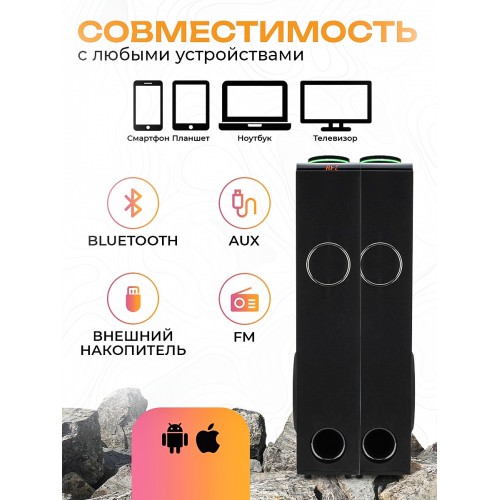 Акустическая система ELTRONIC 08 (30-51) HOME SOUND (черный) 5