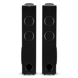 Акустическая система ELTRONIC 10 (30-49) HOME SOUND (черный)