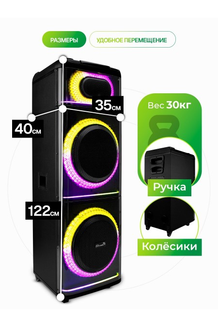 Акустическая система ELTRONIC 12 (20-21) Diamond Box 2500 (черный) 1