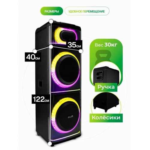 Акустическая система ELTRONIC 12 (20-21) Diamond Box 2500 (черный) 1