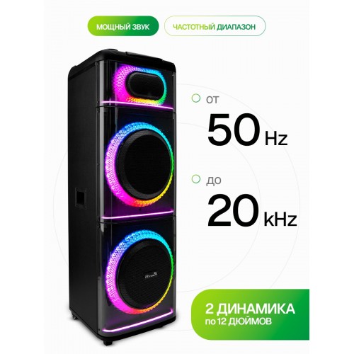 Акустическая система ELTRONIC 12 (20-21) Diamond Box 2500 (черный) 3