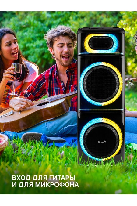 Акустическая система ELTRONIC 12 (20-21) Diamond Box 2500 (черный) 6