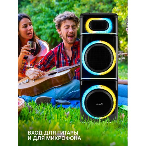 Акустическая система ELTRONIC 12 (20-21) Diamond Box 2500 (черный) 6