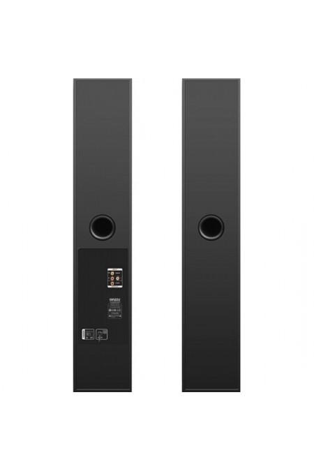 Акустическая система GINZZU GM-325 (черный) 1