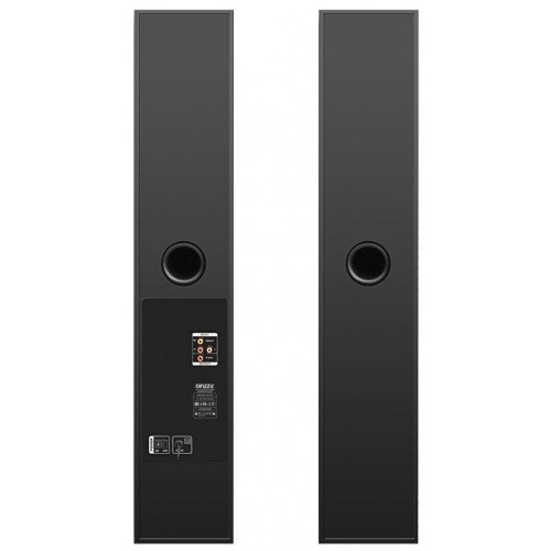 Акустическая система GINZZU GM-325 (черный) 6