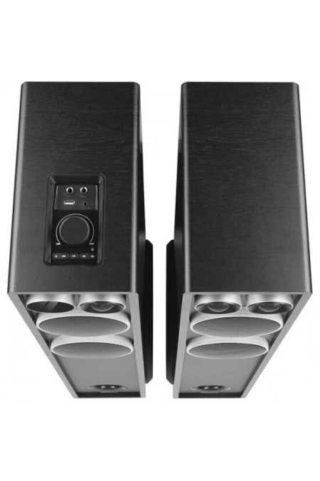 Акустическая система GINZZU GM-326 (черный) 4