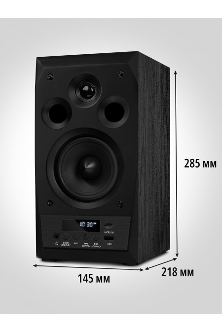 Акустическая система SVEN MC-10 (SV-014018) (черный) 4