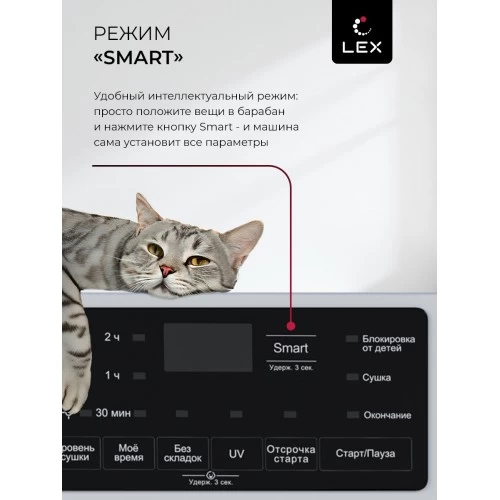 Сушильная машина LEX LDM10WD (белый) 3