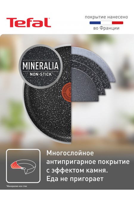 Сковорода блинная Tefal Rock 04235525 25 см (черный) 2