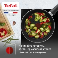 Сковорода Tefal Easy Plus 04237924 24 см (черный)
