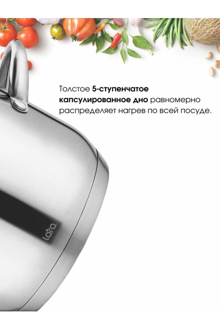 Кастрюля LARA Афина LR02-269 5.1 л (серебристый) 5