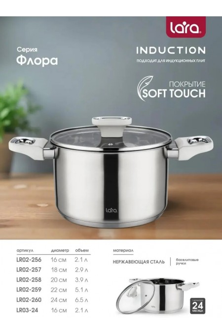 Кастрюля LARA Флора LR02-258 3.9 л (серебристый) 1