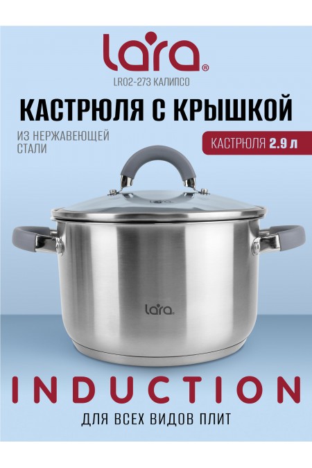 Кастрюля LARA Калипсо LR02-273 2.9 л (серебристый) 