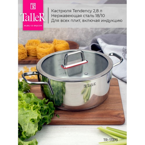 Кастрюля Taller Тенденси TR-17274 5 л (серебристый) 6