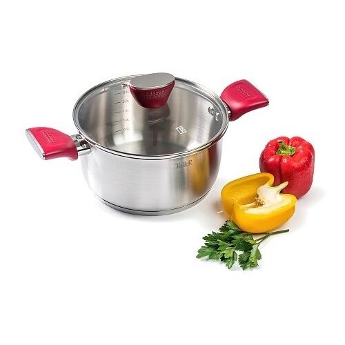 Кастрюля Taller TR-17288 5.3 л (серебристый) 2