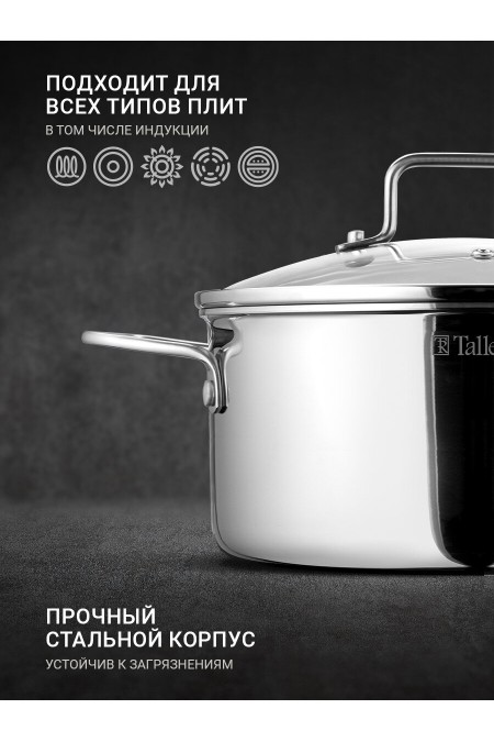 Кастрюля Taller TR-98102 3 л (серебристый) 3