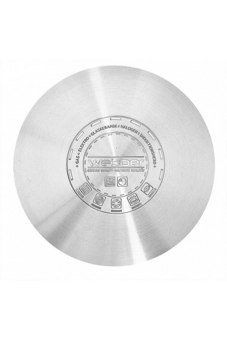 Кастрюля Webber BE-198/2 5 л (серебристый) 1