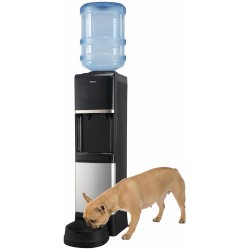 Напольный кулер HotFrost V1950N (черный/серебристый)