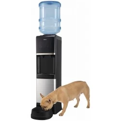 Напольный кулер HotFrost V1950N (черный/серебристый)