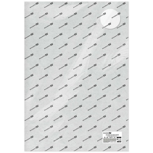 Помпа для воды Hotfrost А10 (230501002) (белый/синий) 8