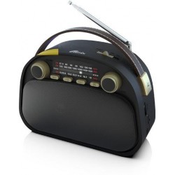 Радиоприемник Ritmix RPR-040 (черный)