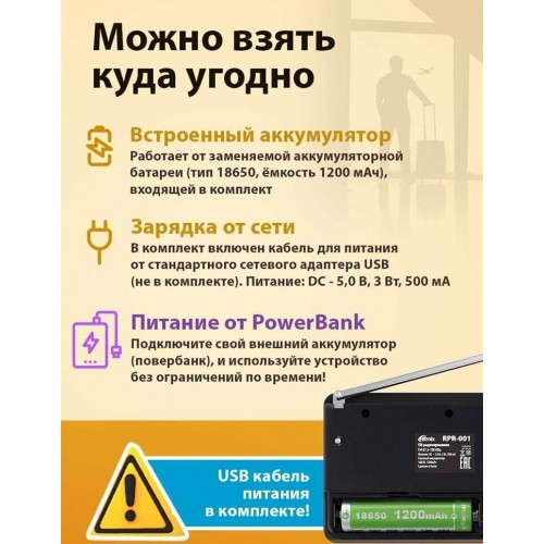 Радиоприемник Ritmix RPR-001 (черный) 13