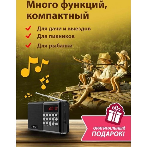 Радиоприемник Ritmix RPR-001 (черный) 15