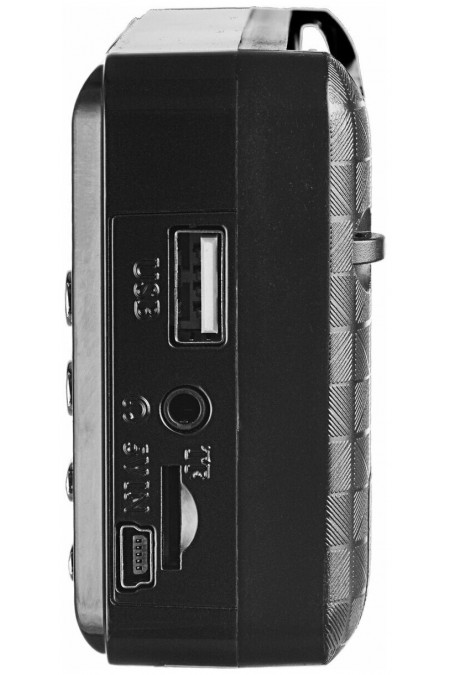 Радиоприемник PERFEO Palm (PF_D0566) (черный) 1