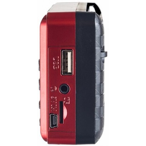 Радиоприемник Perfeo (PF_A4871) PALM (красный) 4