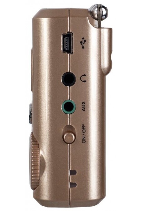 Радиоприемник Perfeo Sound Ranger SV922 (золотой) 2