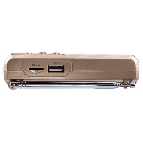 Радиоприемник Perfeo Sound Ranger SV922 (золотой) 3