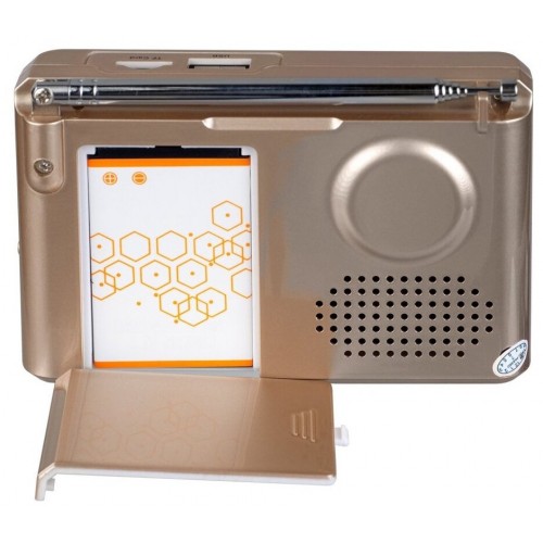 Радиоприемник Perfeo Sound Ranger SV922 (золотой) 4