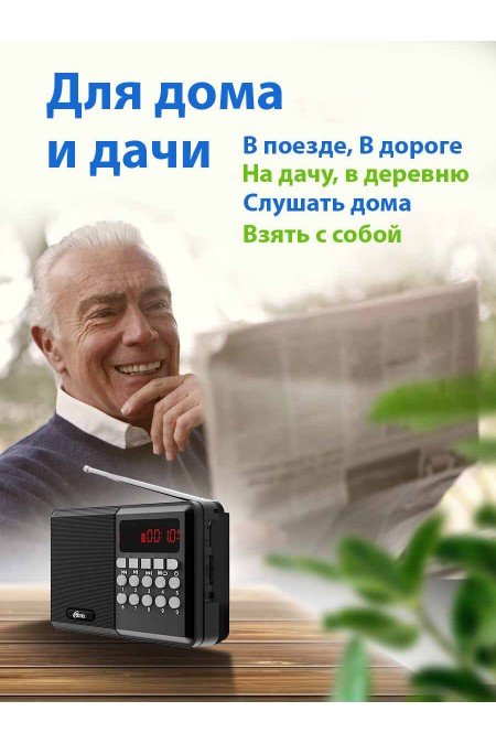 Радиоприемник Ritmix RPR-001 (черный) 5