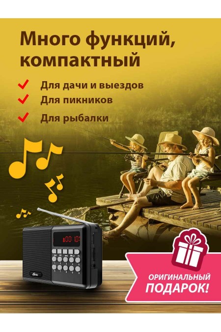 Радиоприемник Ritmix RPR-001 (черный) 9