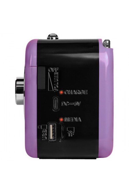 Радиоприемник Ritmix RPR-033 (лавандовый) 4