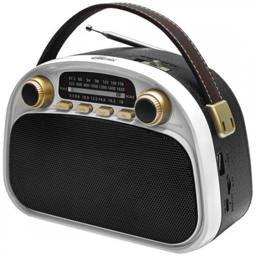 Радиоприемник Ritmix RPR-040 (белый/черный) 