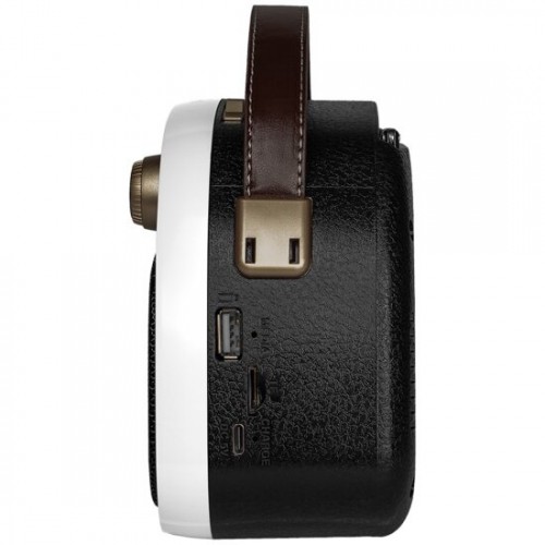 Радиоприемник Ritmix RPR-040 (белый/черный) 1