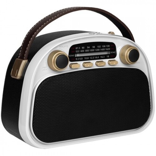 Радиоприемник Ritmix RPR-040 (белый/черный) 2