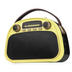 Радиоприемник Ritmix RPR-040 (желтый/черный)