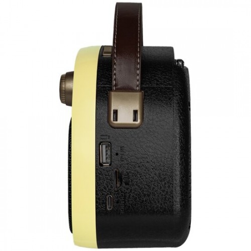 Радиоприемник Ritmix RPR-040 (желтый/черный) 1