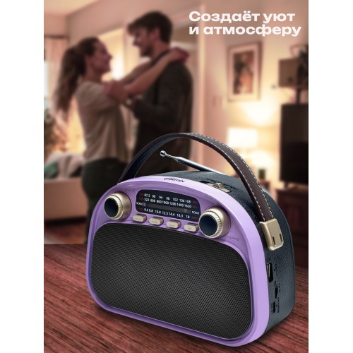 Радиоприемник Ritmix RPR-040 (лаванда) 5