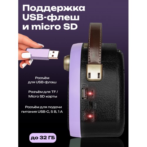 Радиоприемник Ritmix RPR-040 (лаванда) 9