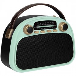 Радиоприемник Ritmix RPR-040 (мятный/черный)