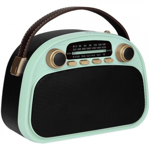 Радиоприемник Ritmix RPR-040 (мятный/черный) 
