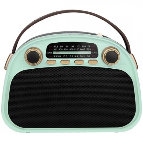Радиоприемник Ritmix RPR-040 (мятный/черный) 2