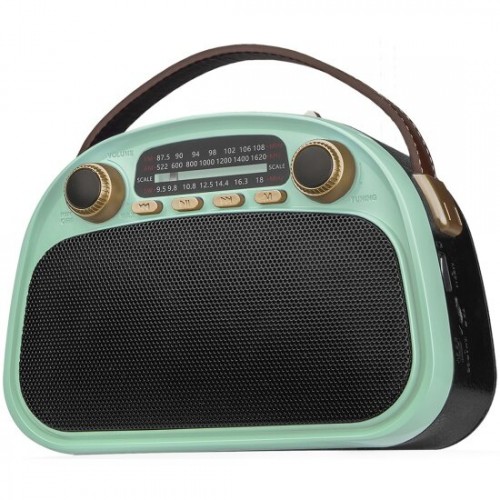 Радиоприемник Ritmix RPR-040 (мятный/черный) 4